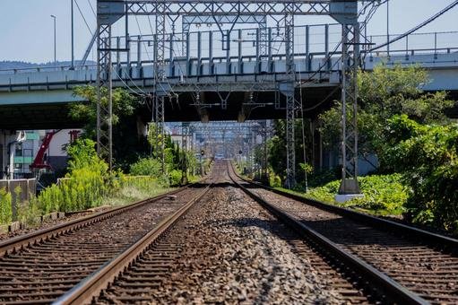 🏞️ 헤이조 궁터 역사공원 (헤이조큐세키 레키시 코엔) 이미지 8